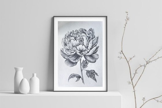 Peony