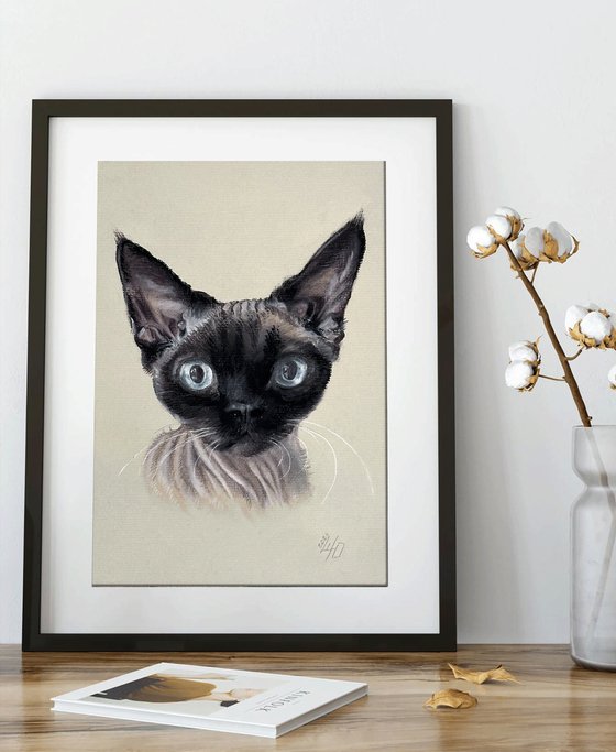 Portrait of sphynx with "Penetrating glance"