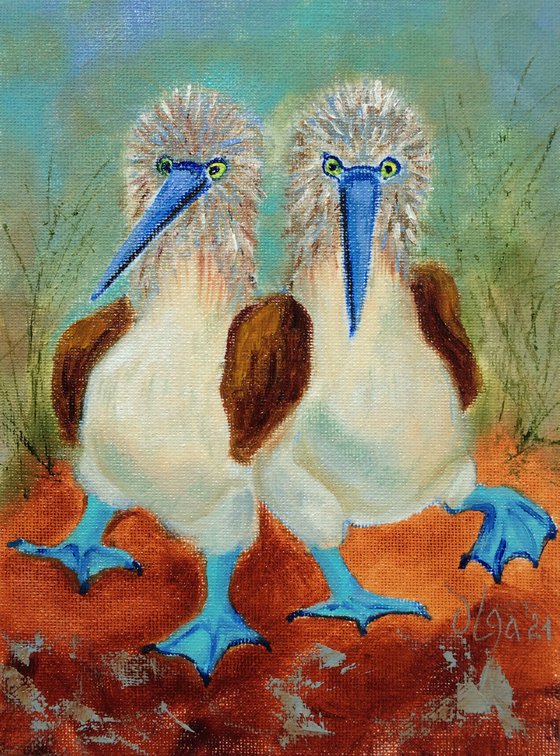 Blue-Footed Booby