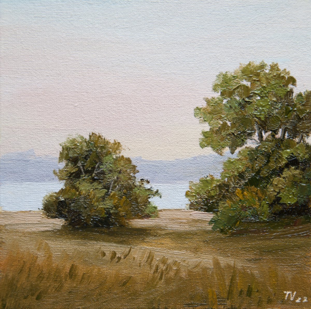 Summer morning. Oil painting. Miniature. 6 x 6 in. by Tetiana Vysochynska