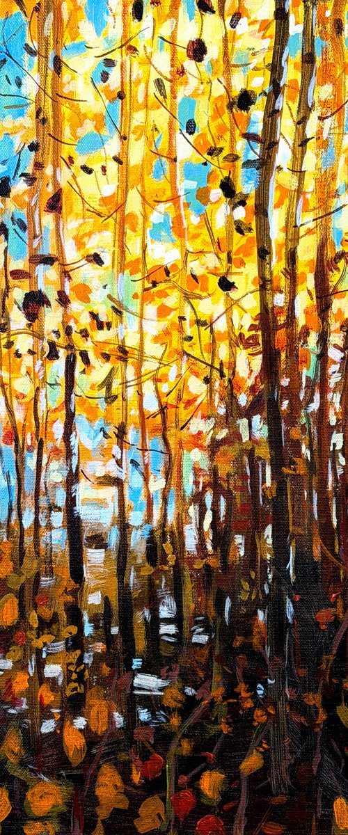 Autumn Aglow by Paul Cheng