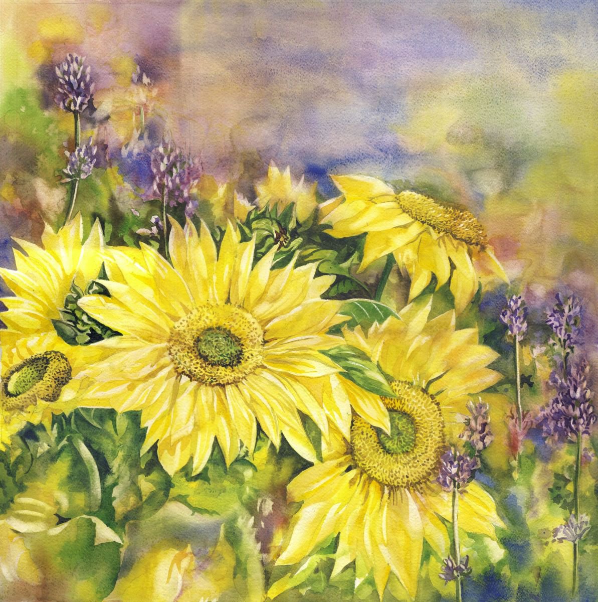 Sunflowers with lavender by Alfred Ng | Artfinder