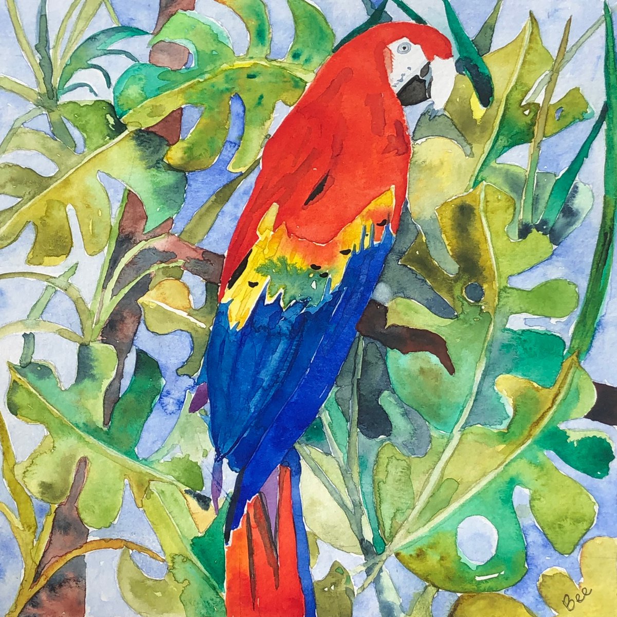 Red and blue Macaw by Bee Inch