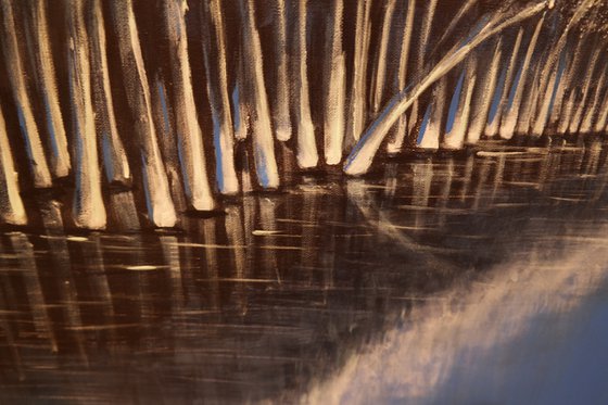 Iced Birches  - Water and Trees  Series