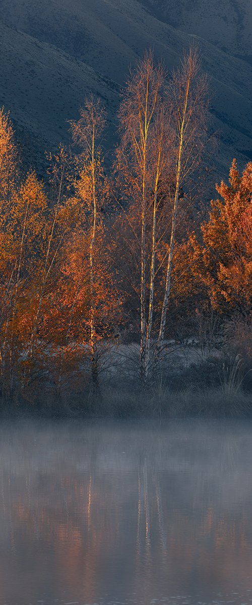 Mackenzie Country by Nick Psomiadis