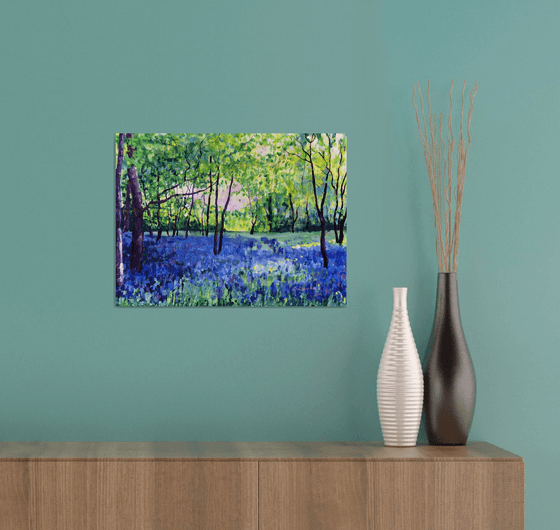 Bluebells in Spring