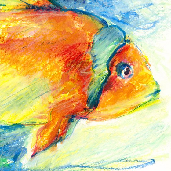 Little Fish