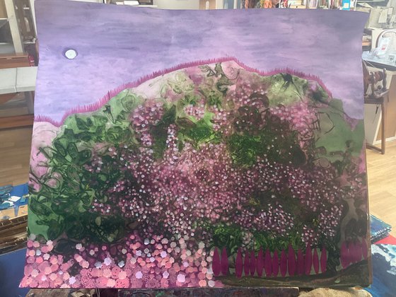 Where the wild roses grow