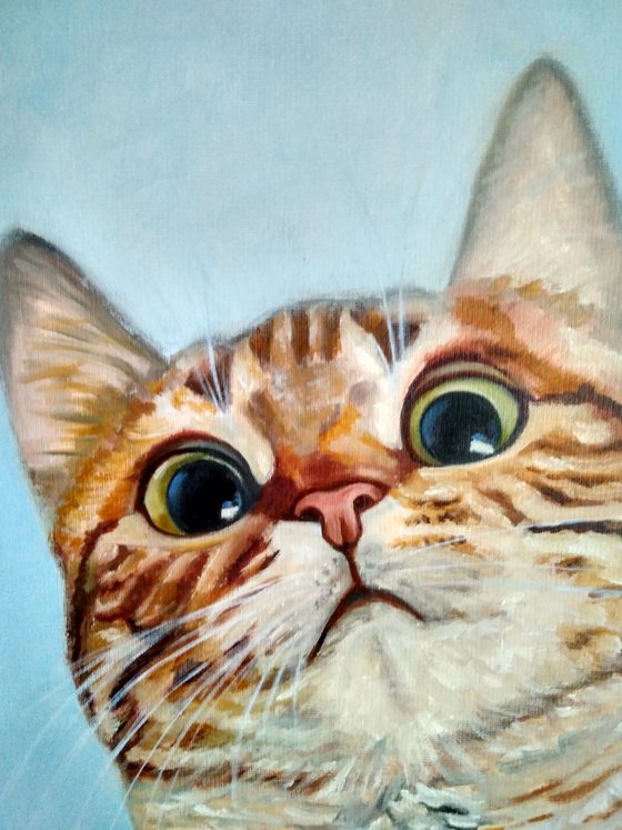 Funny cat, 40x40 cm, ready to hang.