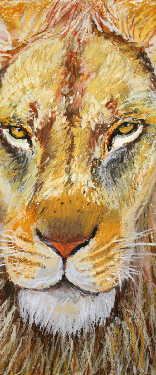 Lion / FROM THE ANIMAL PORTRAITS SERIES / ORIGINAL OIL PASTEL PAINTING by Salana Art Gallery