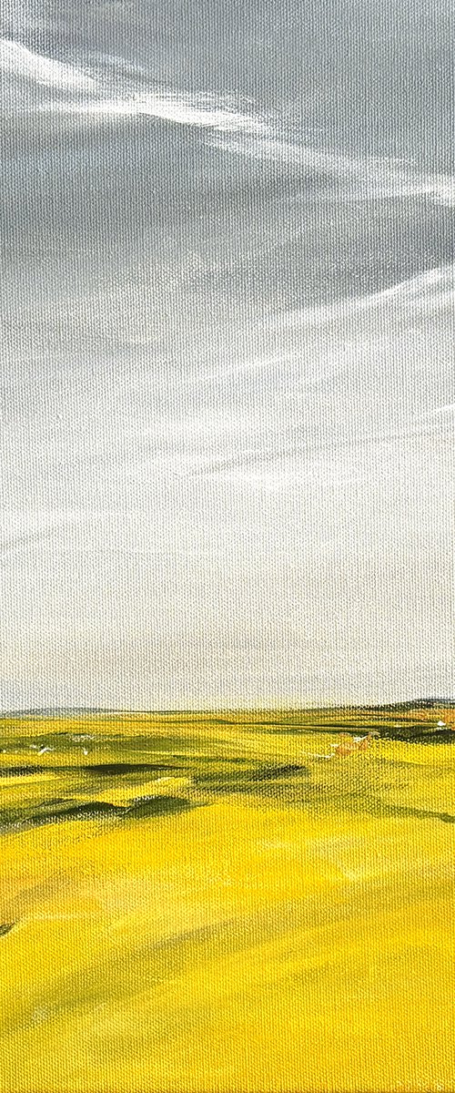 Summer Fields by Arti Chauhan