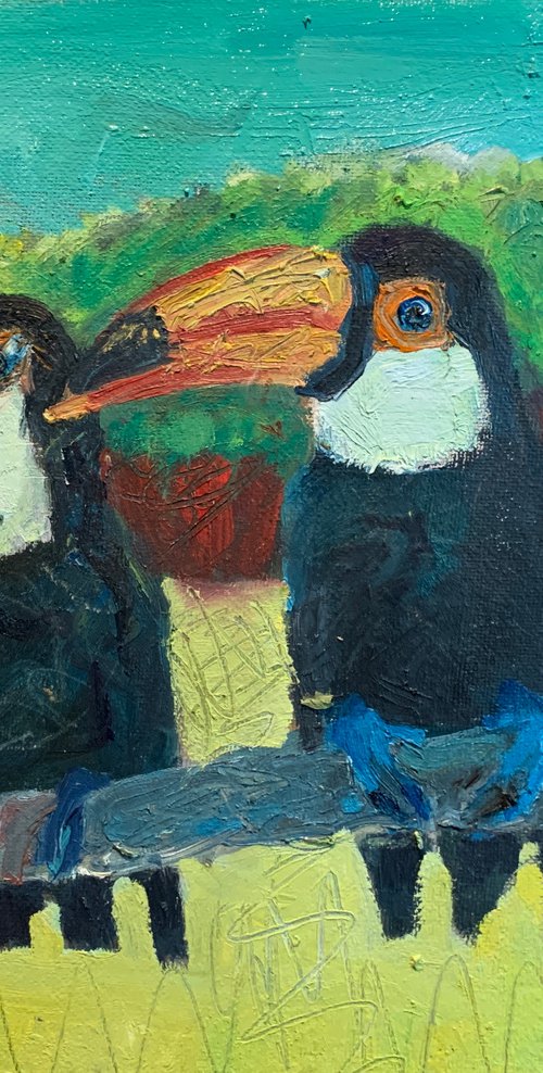 Toucans and Conures by Ryan  Louder