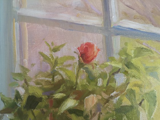 By the window