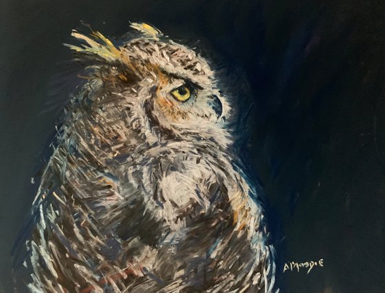 Owl