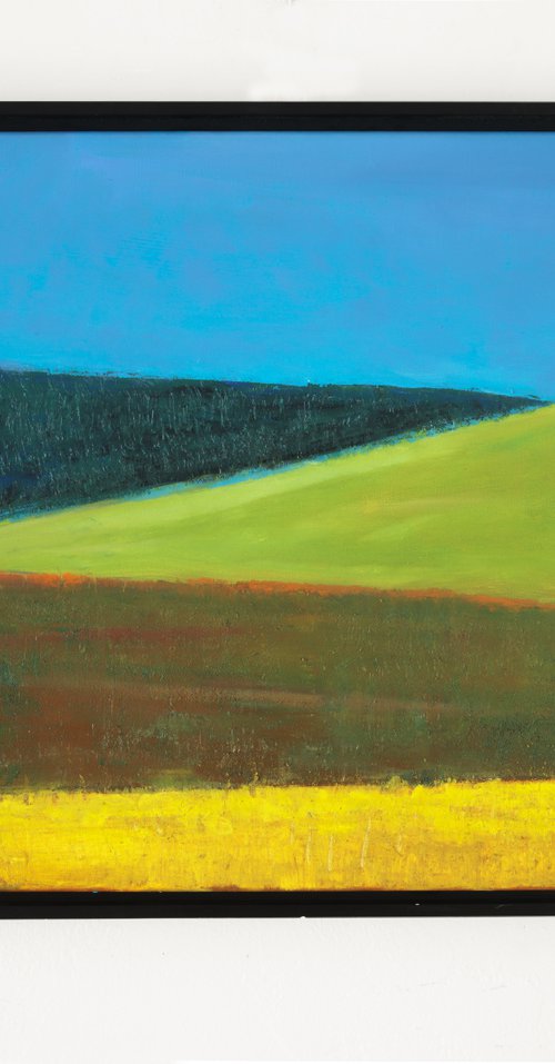 Fields #2 24x20" 60x51 cm Contemporary Art by Bo Kravchenko by Bo Kravchenko