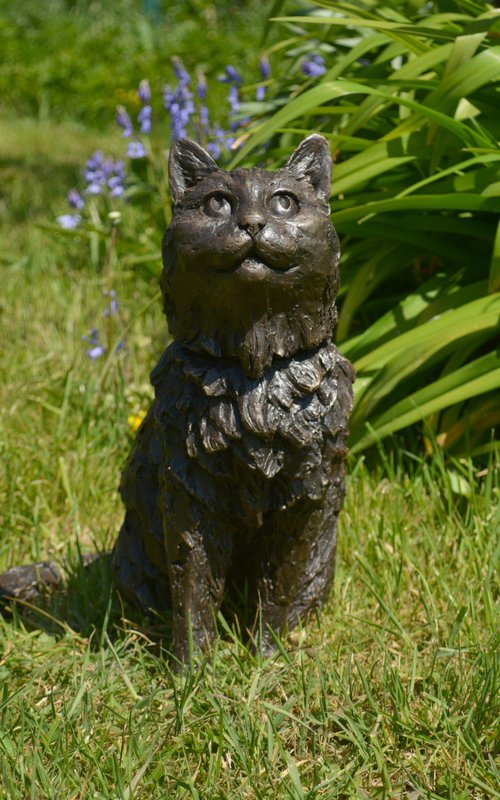 Longhaired Cat BR by Tanya Russell