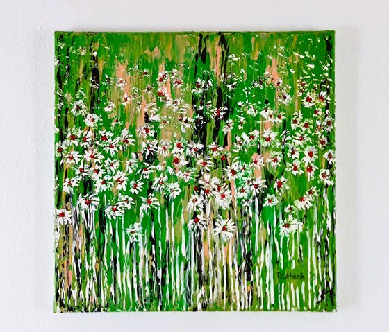 Daisies In The Grass 5