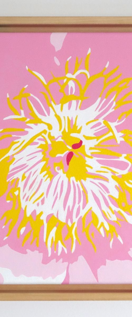 Pink Peony Study by Susan Porter