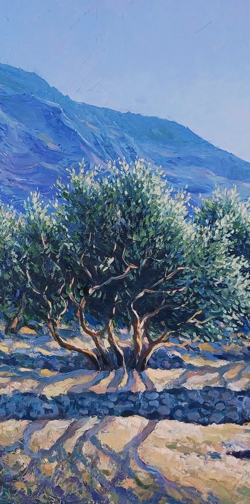 Olive grove by Valentinas Yla