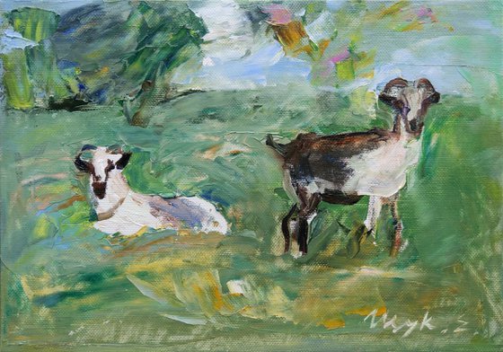In the field. Goats. Original oil painting (2018)