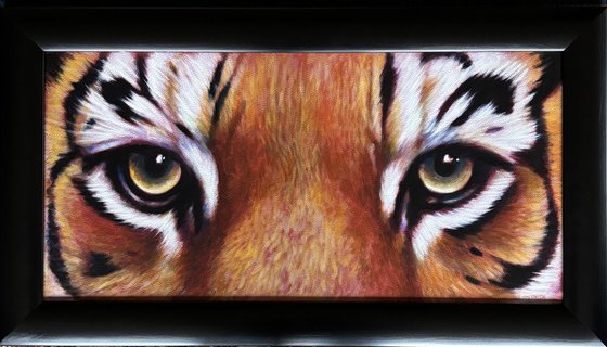Large Tiger Eyes Framed