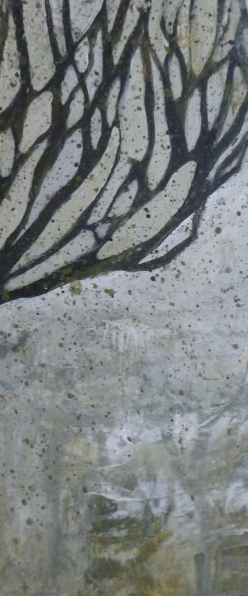 Winter Branches by Fiona Philipps