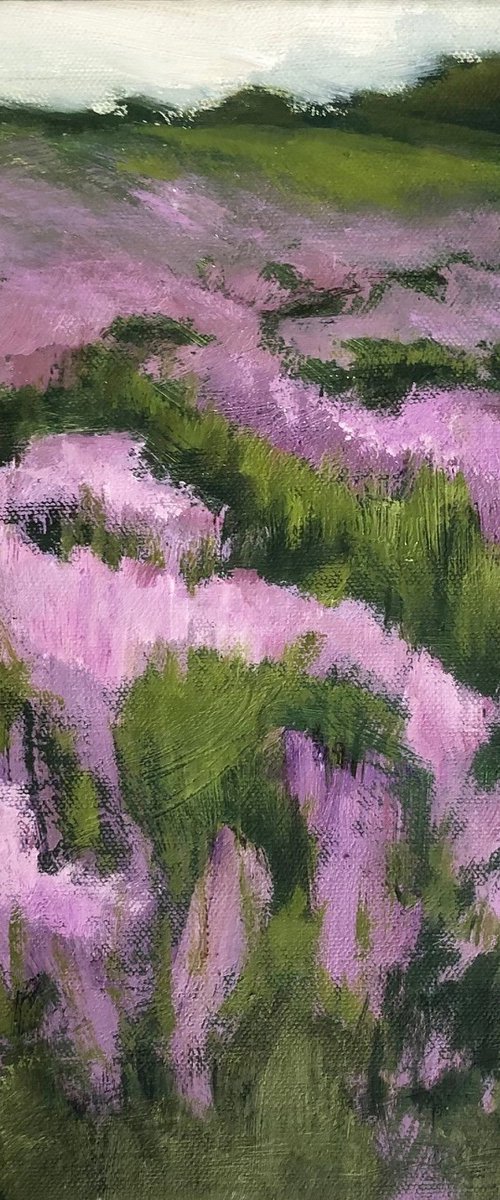 Wild Heather by Joanna Farrow