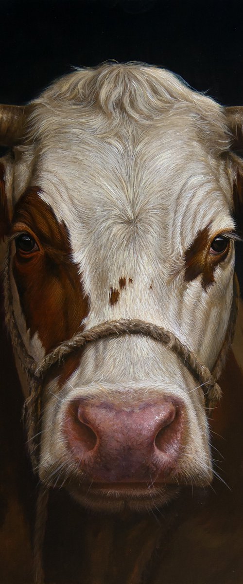 Red Lady by Mayrig Simonjan