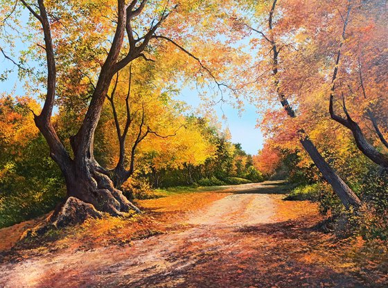 Autumn in a forest  (60x80cm, oil painting, ready to hang)