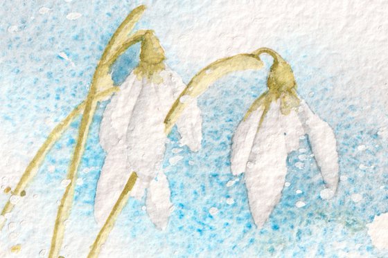 Sapphire Snowdrops