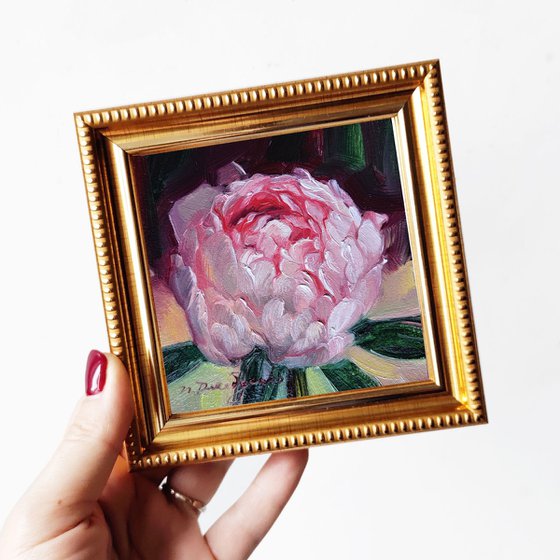 Small oil painting original framed art Pink peony flower 4x4 in frame