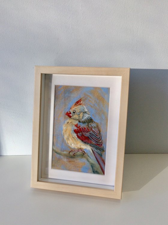 Bird cardinal small painting - Gift for bird lover