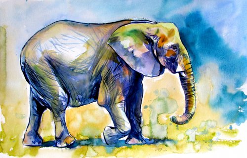 Majestic elephant alone III by Kovács Anna Brigitta