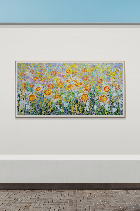 Daisy Blooms
