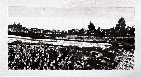 Pennsylvania Fields