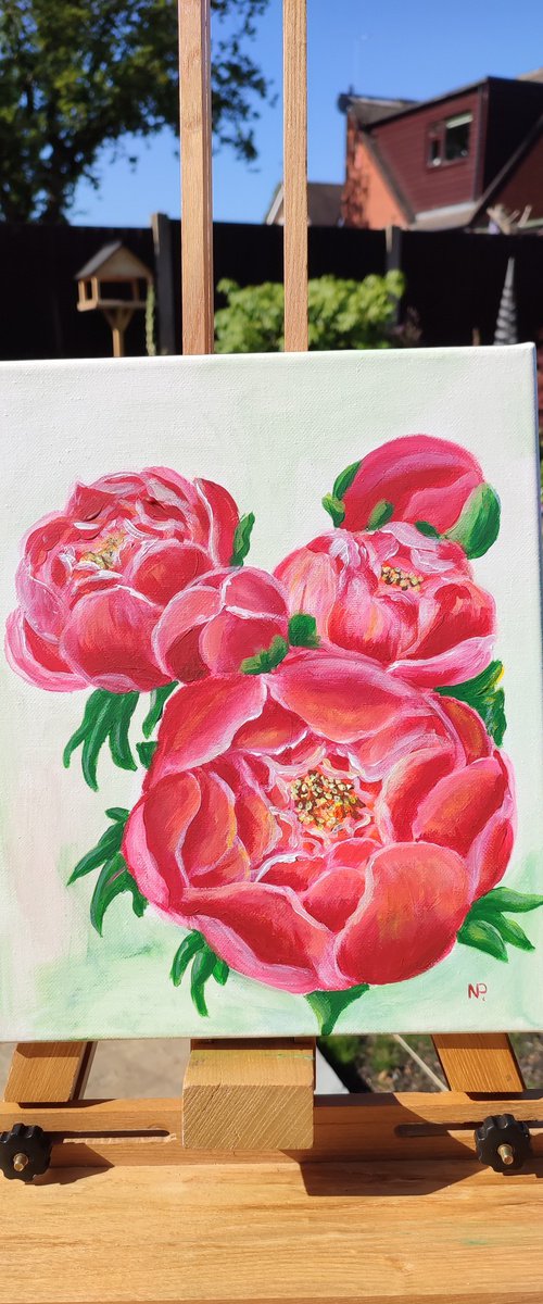 Peonies by Nataliia Plakhotnyk