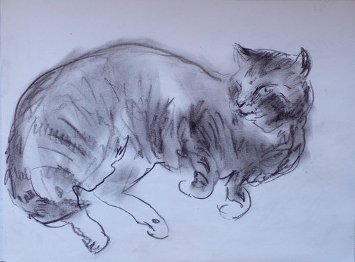 Happy Cat Sketch 2 by Oxana Raduga