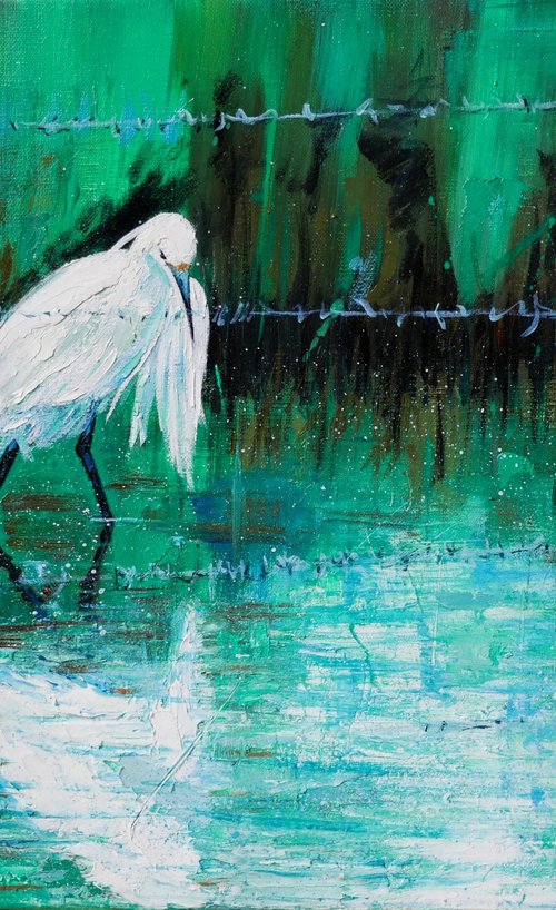 Egret in Camargue behind barbed wire by Lionel Le Jeune