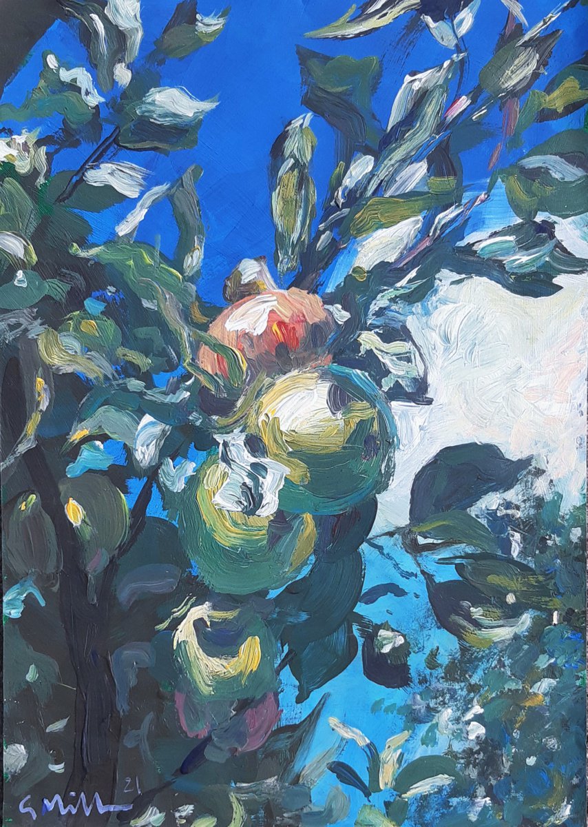 Apples on Tree by Gerry Miller