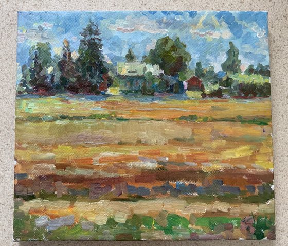 Sunny field