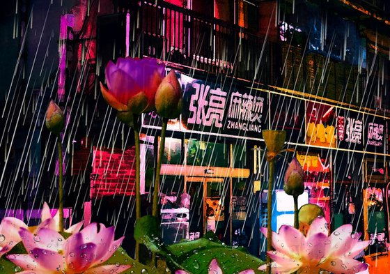 Lotuses in the Rain