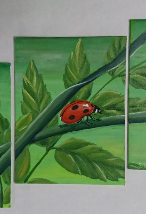 Ladybug. Triptych by Svetlana Vorobyeva