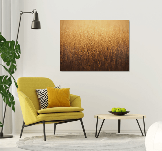 Golden Summer Field