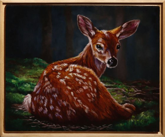 'Sanctuary' Blacktail deer fawn