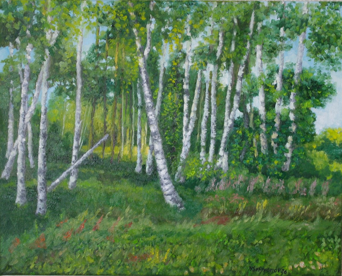 Birch Grove In May By Juri Semjonov, 20 X 16, Artwork For Sale On Artfinder