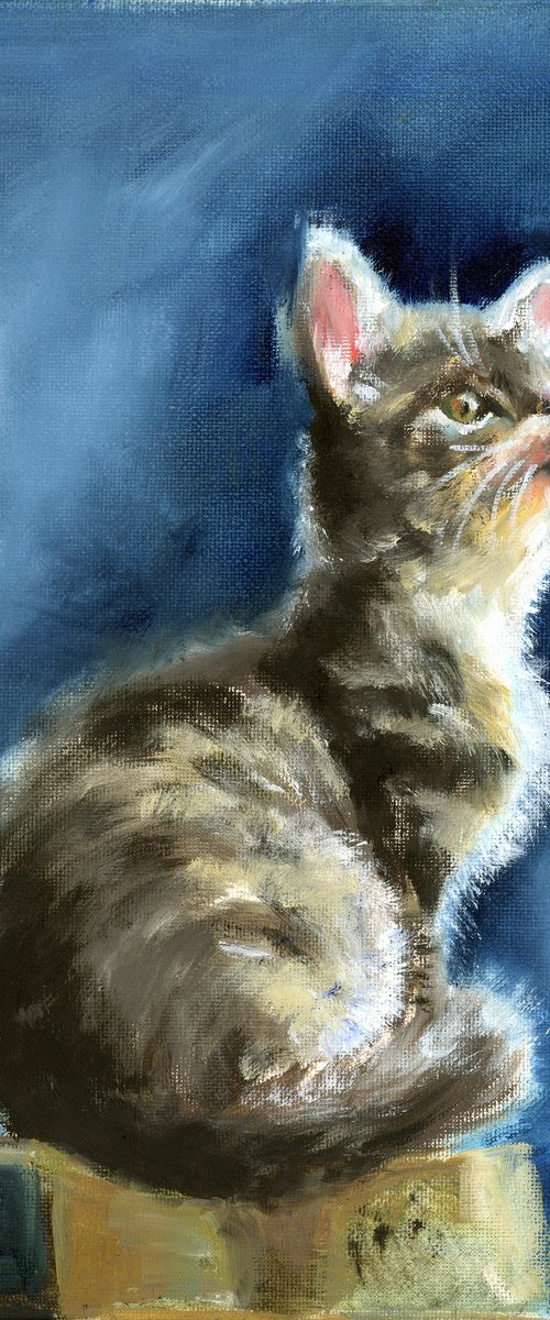 The Kitten - Original Oil Painting by Olga Tchefranov (Shefranov)