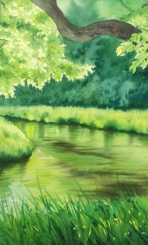 Green forest near river in sun by Olga Beliaeva Watercolour