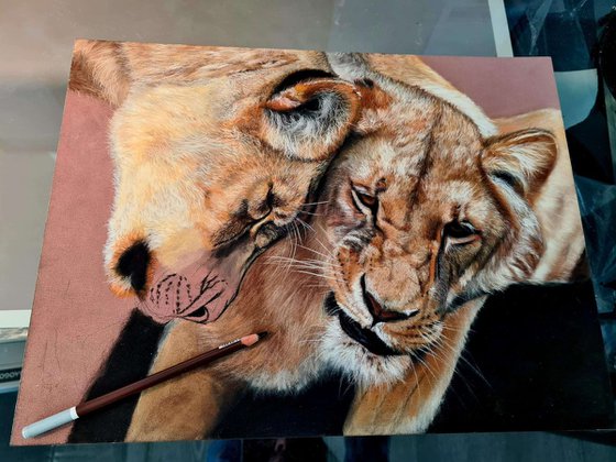 ,, Kittens'' realism Lions pastel on pastelmat