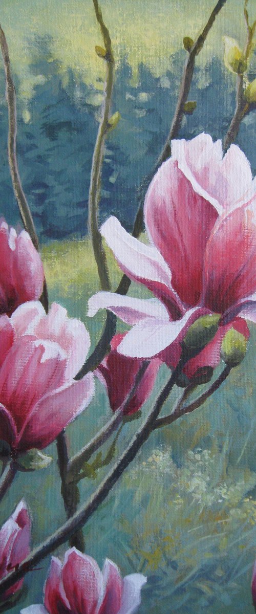Pink magnolia by Elena Oleniuc