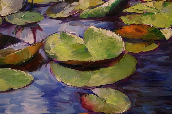 "Lily Pond"